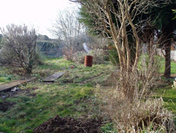 A photo before of neglected garden